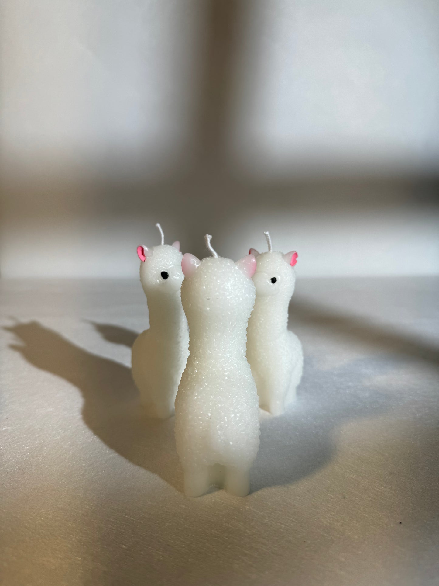 Sólful Alpacas
