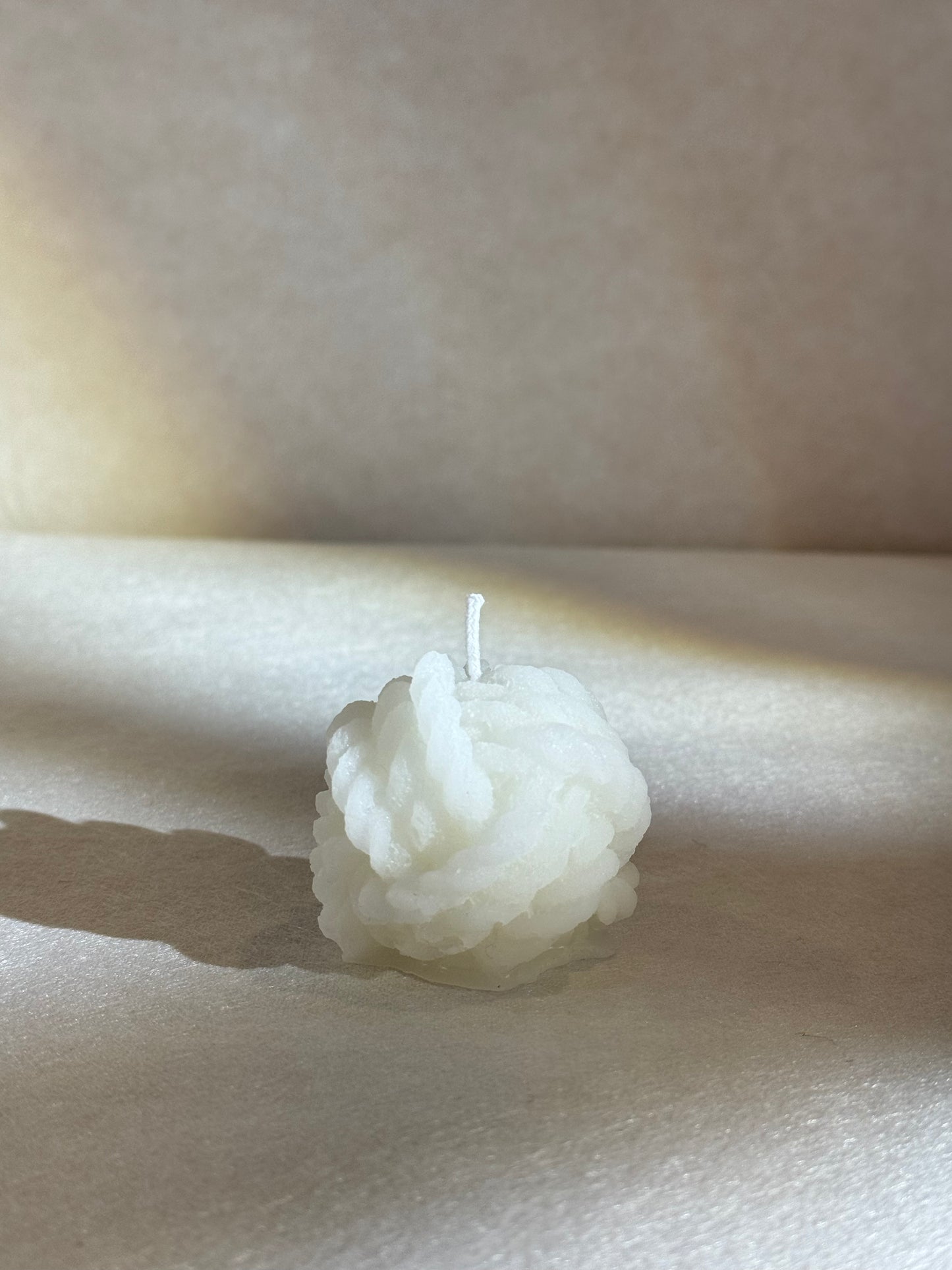 The Knot