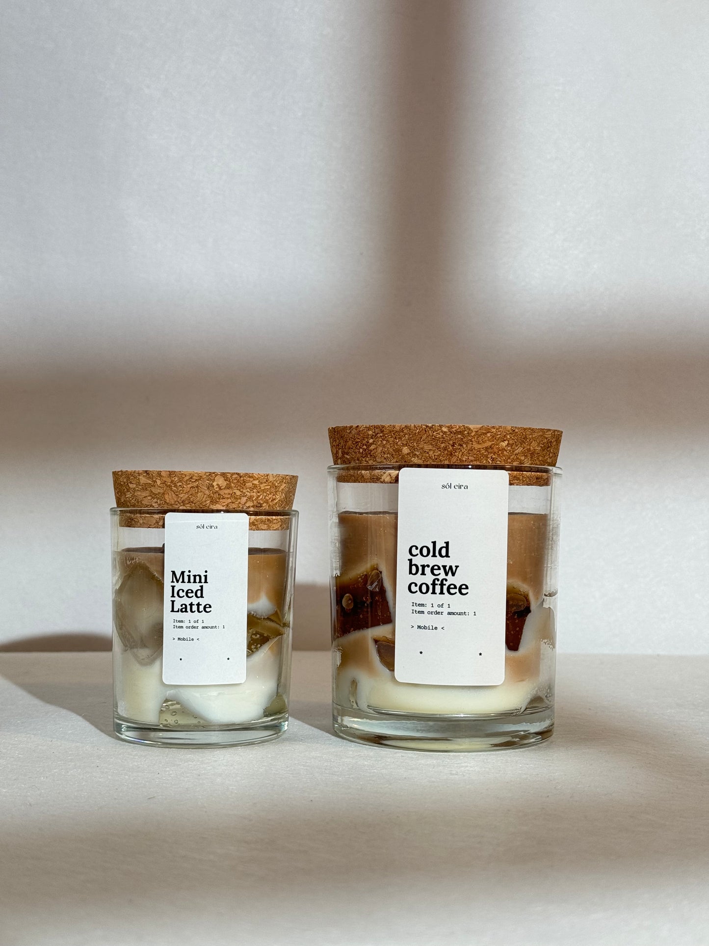 Iced Brew Coffee Latte Duo